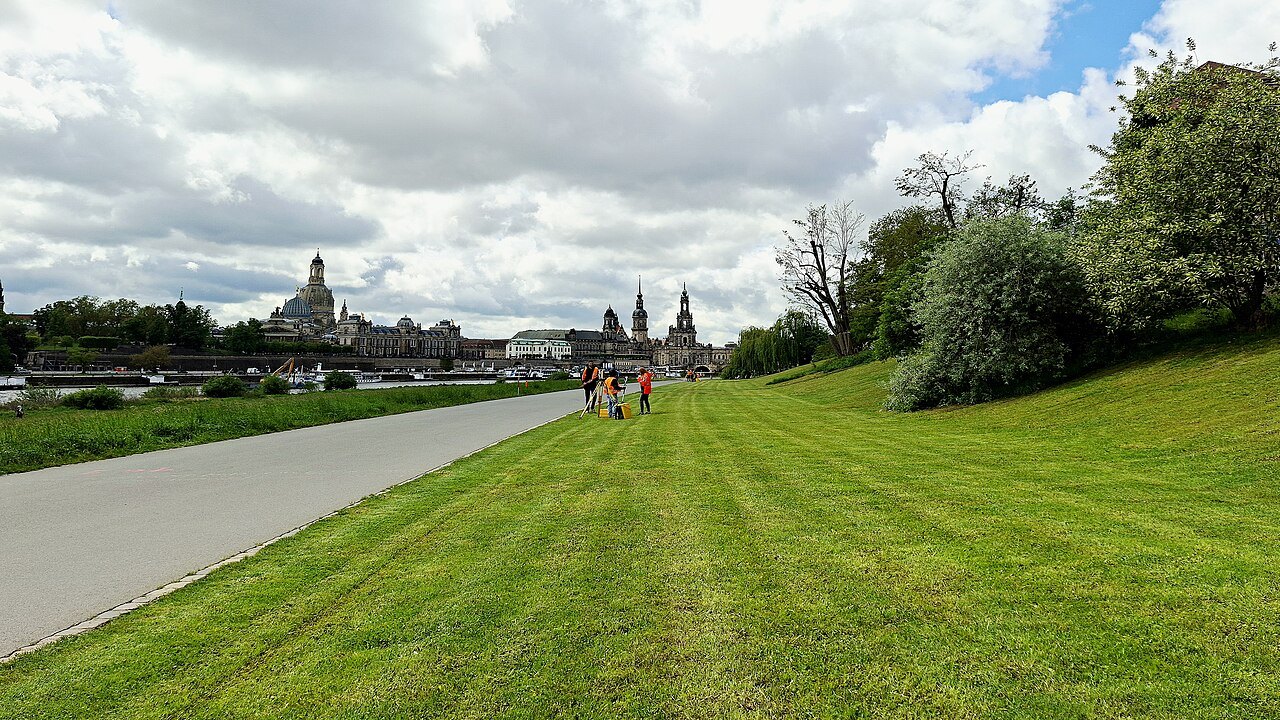 The Elbe meadows below the Altstadt skyline