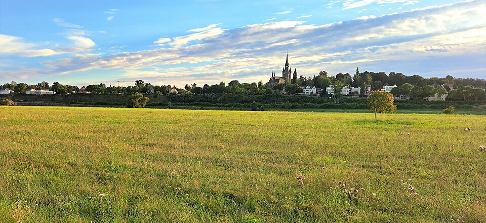 The wide Elbe meadows in late summer