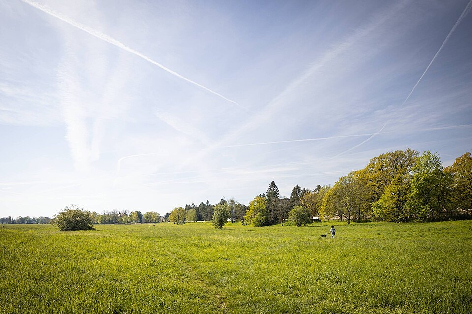 Green meadows along the Elbe in spring