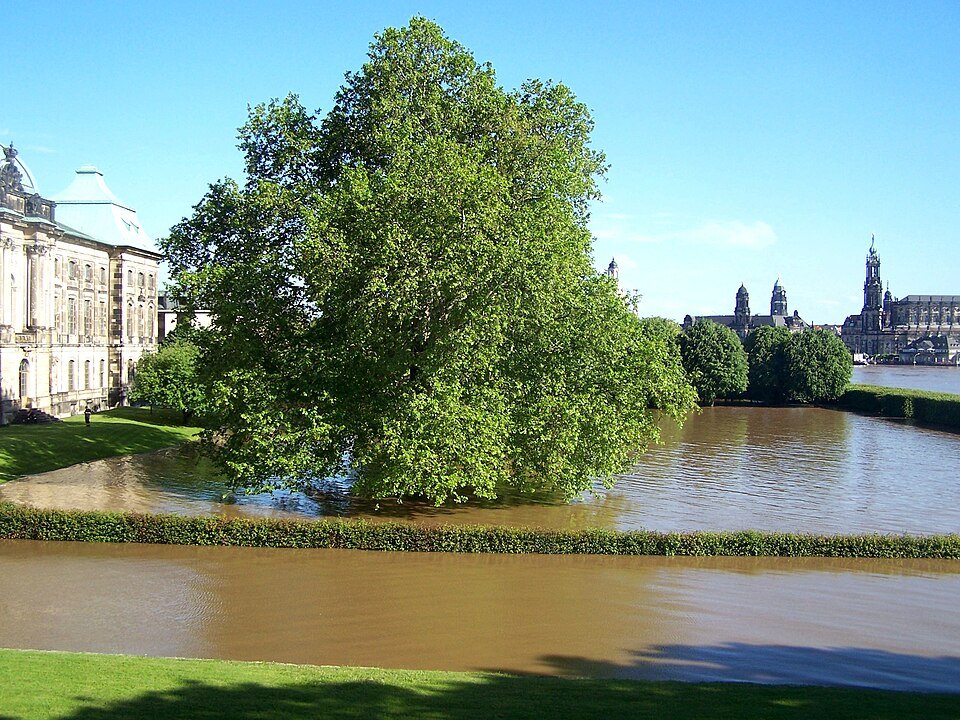 The Japanese Palace garden under floodwater