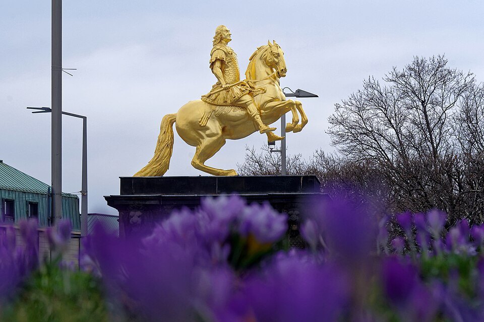 The golden rider above purple crocuses