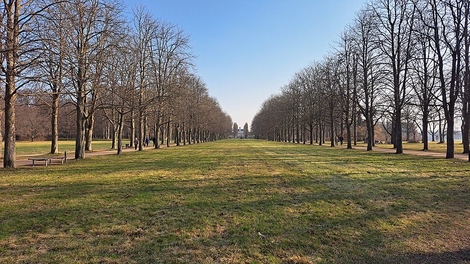 A long tree avenue in the Pillnitz park